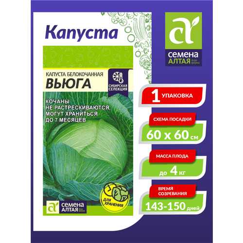 ������ ������ ������ ������� '�����', ���. ���, �/�, 0,5 � ����