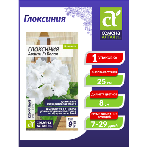 ������ ������ ������ ��������� ������ ����� F1 8�� ��� 30�� (������ �����) ����