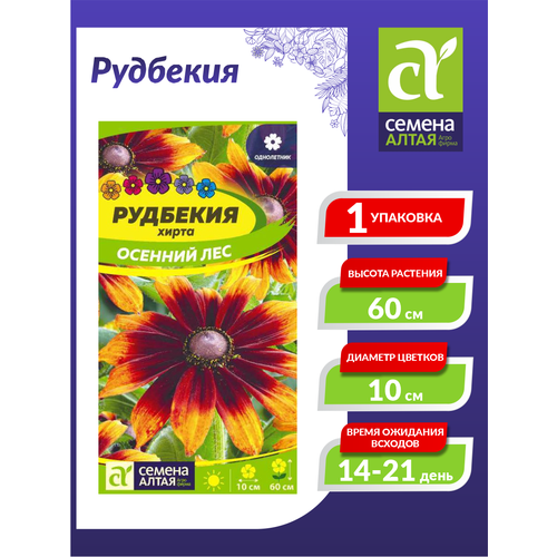 ������ ������ ������ �������� ����� ������� ��� ���������� 0,2 ��. ����