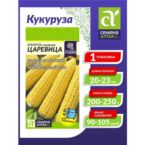 ������ ������ ������ �������� �������� ����������� 5 ��. ����