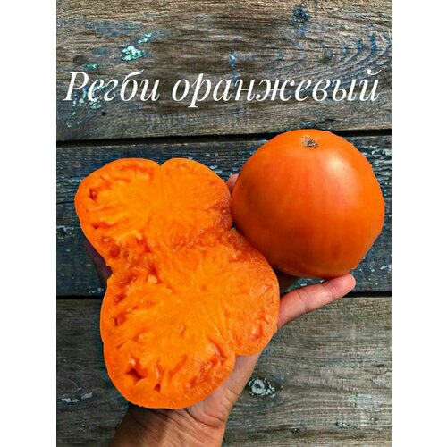 ������ ������ ������������� ������ ������ ����� ��������� ����