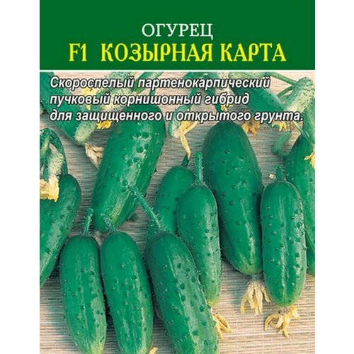 ������ ������ ������ ������ F1 �������� ����� 10 ��. ����