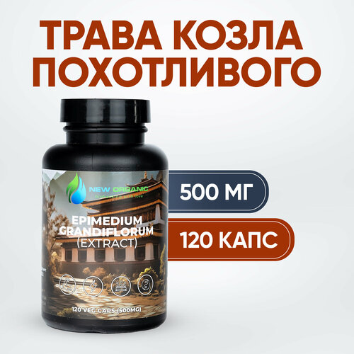 ������ ������ ����� 