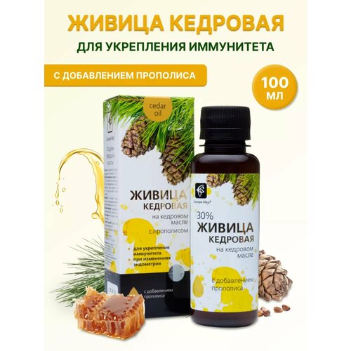 ������ ������ ������-��� / ������. ������ �������� �� �������� ����� � ����������. ���������� ���������� 100 ��. ����