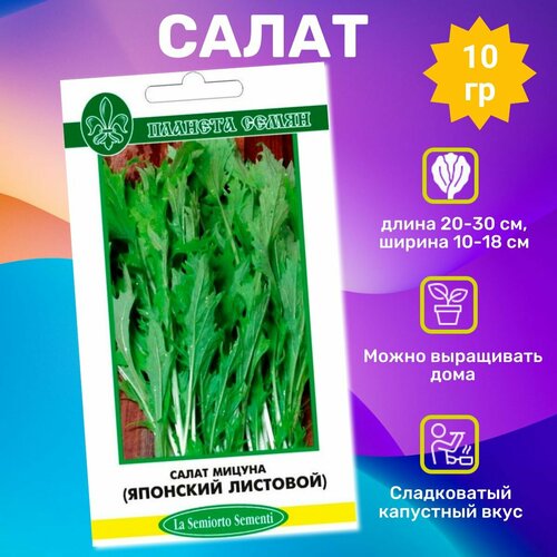 ������ ������ ������ ������ ������ ���� ����� 10 �. ���������� �������� ����