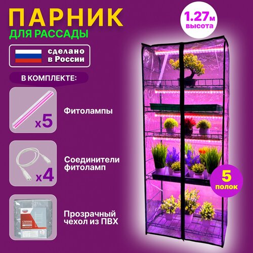 ������ ������ ������-������� ��� ������� 5 ���� ����