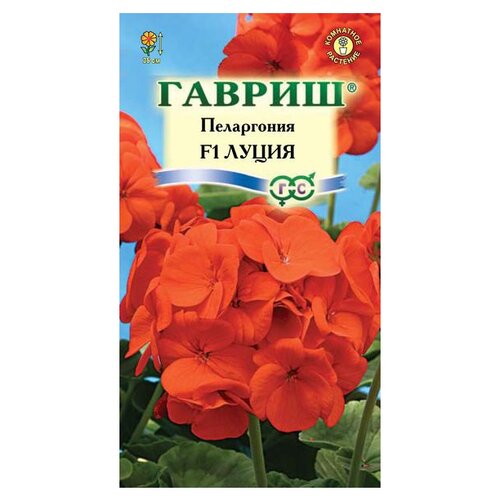 ������ ������ ������ ������ ���������� ��������� ����� F1 4 ��. ����