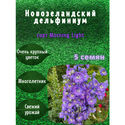 ������ ������ ������ ��������������� ����������� 5 �� ������ ����� ����