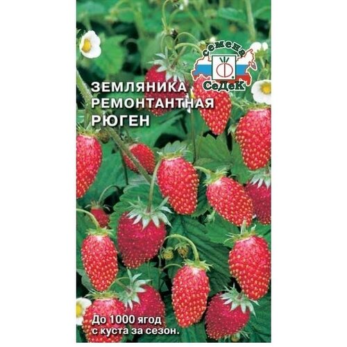 ������ ������ ������ ��������� ������������ ����� 0,04 � (�����) ����