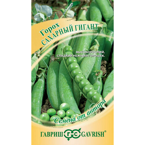 ������ ������ ������ ����� �������� ������, 10,0�, ������, ������ �� ������, 10 �������� ����