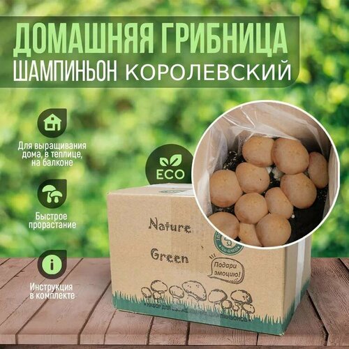 ������ ������ ������ / �������� �������� ����������� / ����������� ��������� ����