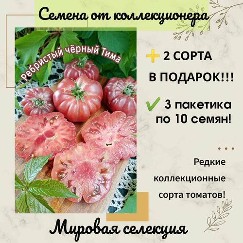 ������ ������ ����� ��������� ������ ����, ������������ ��������, ������������� ���� ����