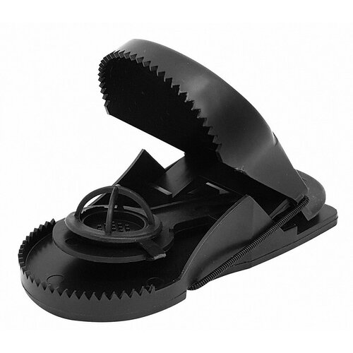 ������ ������ ���������� ����������� ������ ���� ����