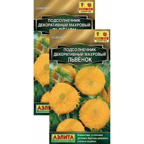 ������ ������ ������������ �������� ������� (0,5 �), 2 ������ ����