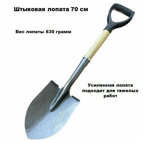 ������ ������ ������ �������� 70 �� ��������� ����� ����