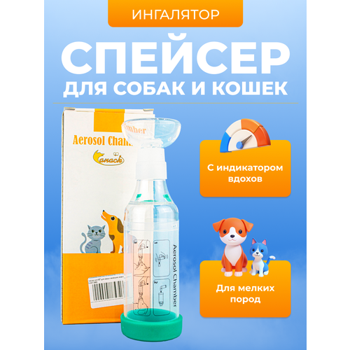 ������ ������ ������� wikiVET ��� ����� ��������� �������� � 1 ������, ������� (������������ ���������) ��� ��������� ����� � ����� ����
