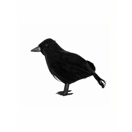 ������ ������ ������ 