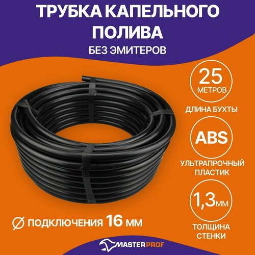 ������ ������ Masterprof ������ ��.060106, 25 � ����