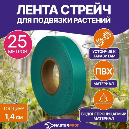 ������ ������ ����� ������ ��� �������� �������� 25 ������ ����