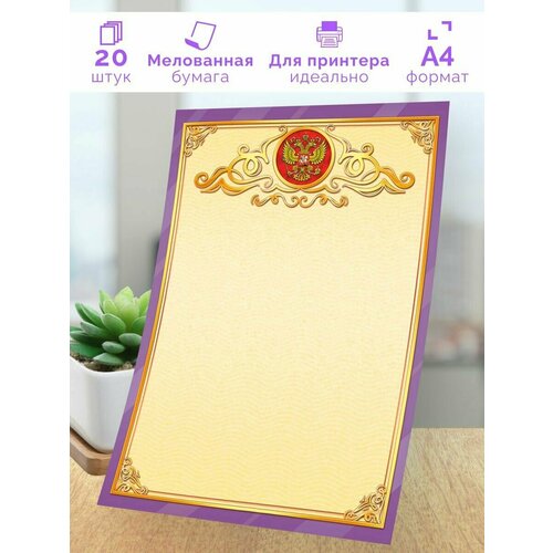 ������ ������ ���������� ������� ������������� 20 �� �4 ����