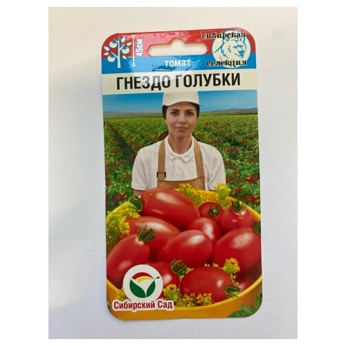 ������ ������ ������ ����� ������ �������, 20 ��. ����