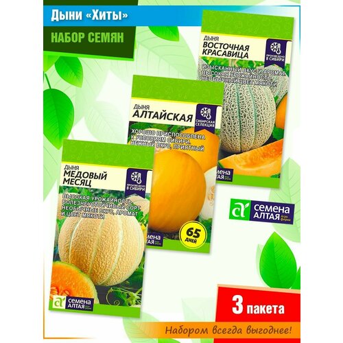 ������ ������ ����� ����� ���� 