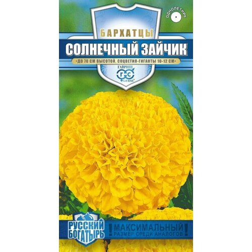 ������ ������ ������ �������� ������������ ��������� ������ 0,3� 70�� (������) ������� �������� ����