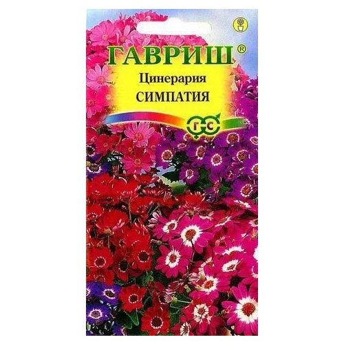 ������ ������ ��������� ��������, ������ ������ 8�� ����