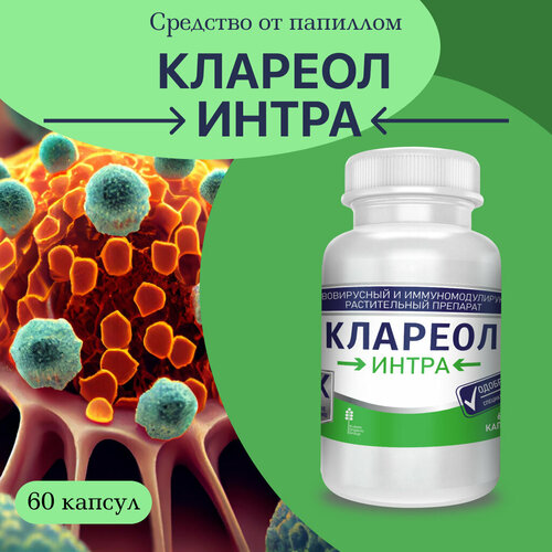 ������ ������ �������� �� ��������� � �������� � �������� ������� ����