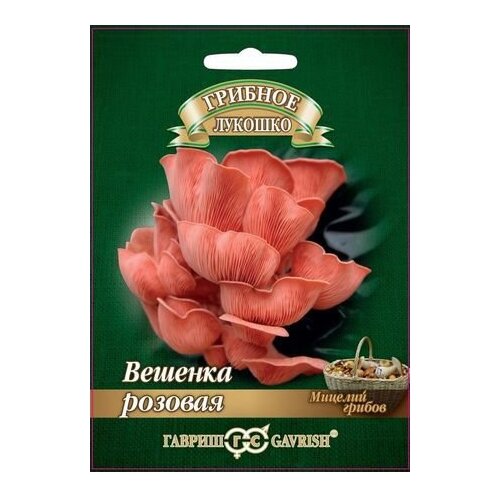 ������ ������ ������� ������ ������ ������� ������� ������� ������� �� ��������� ������� 12 ��. ����