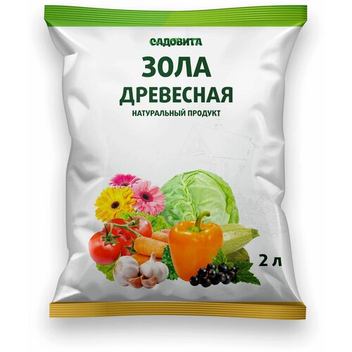 ������ ������ ���� ��������� 2�. �������� ����