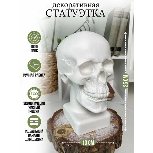 ������ ������ ����� �� ���������� ����