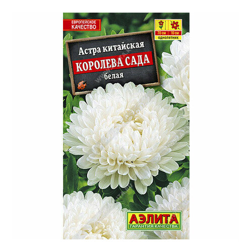 ������ ������ ������ ����� �������� ���� ����� ����������� 0.2� ��� 70�� (������) ����