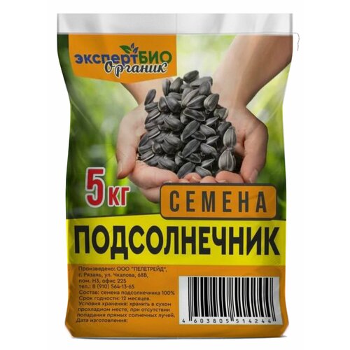 ������ ������ ������ ������������� ����� ����������� ��� ����, ���� ��� ����, ��������, ������� ������ ����