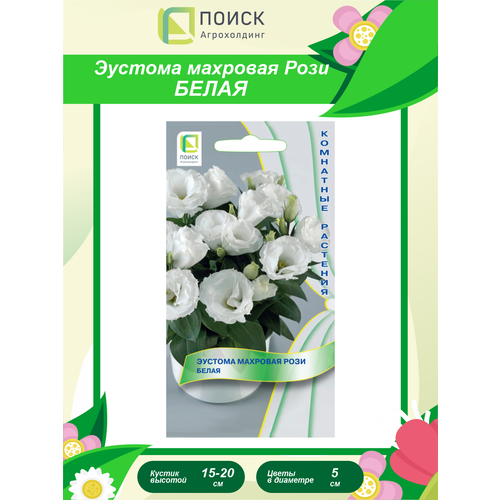 ������ ������ ������ ������� �������� ���� ����� ��������� 5 ��. ����