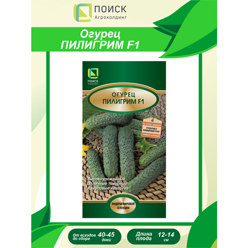 ������ ������ ������ ������ �������� F1 12 ��. ����