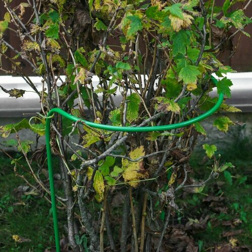 ������ ������ �������������� ������� 90x47 �� ����