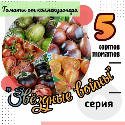 ������ ������ ����� ����� ������� ����� 