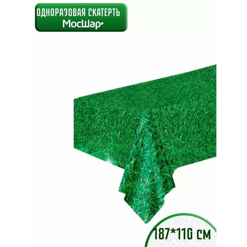 ������ ������ �������� ������, ��� ��� ��������, �����������, 110�187�� ����