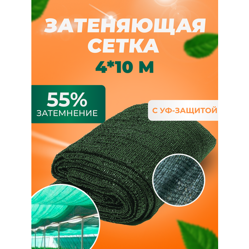 ������ ������ ����� ���������� �������� 55 %, 4�10� ��� ������, ������, ��������, �� ������, ��� �������, ��� ������ ���� ������� ����
