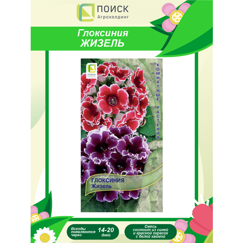 ������ ������ ������ ��������� ������ ��������� 5 ��. ����