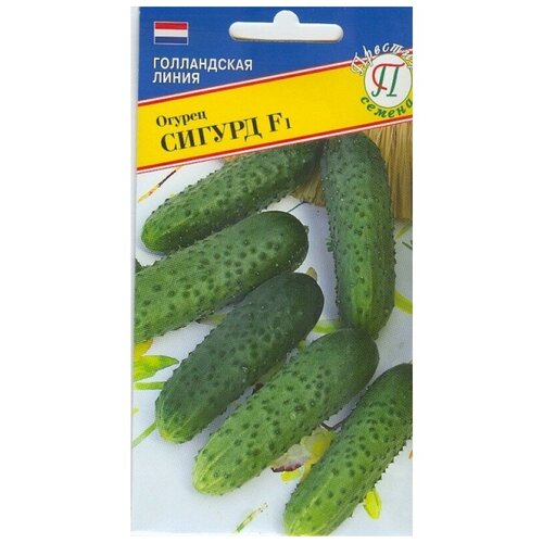 ������ ������ ������� ������ 