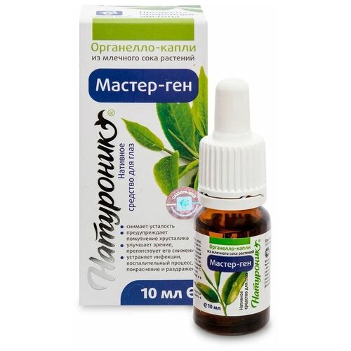 ������ ������ ������-��� ���������-����� ��������� ������-���, ������, ��� ����, 10 �� ����