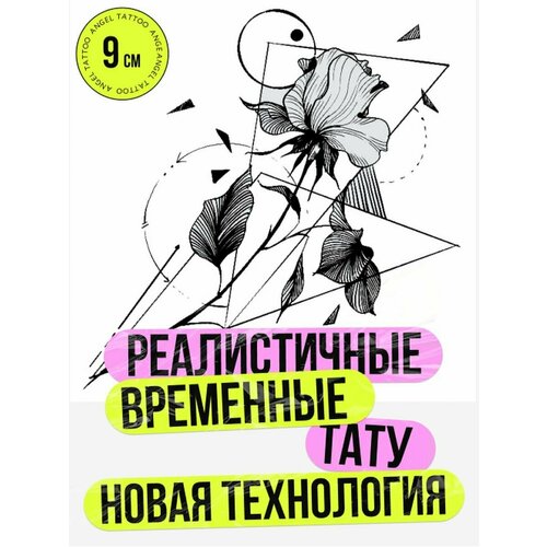 ������ ������ ���� ���������� �������������� �������� ��������� ����