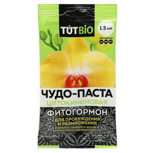 ������ ������ ������������� ����� ����� ��� ������� � ��������� ������ 1,5 �� ����