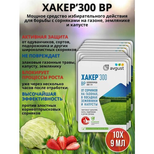 ������ ������ �������� �� �������� �� ������ �������� ����� 9 ��, 10 �� ����