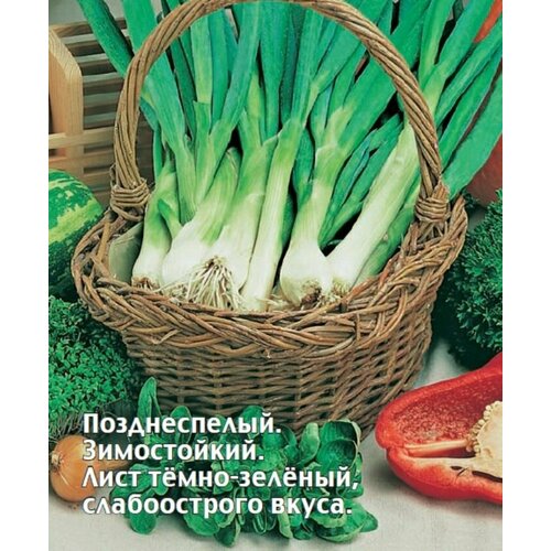 ������ ������ ������ ��� ����� ������ ������� ����