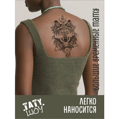 ������ ������ ���� �������� ���� ����