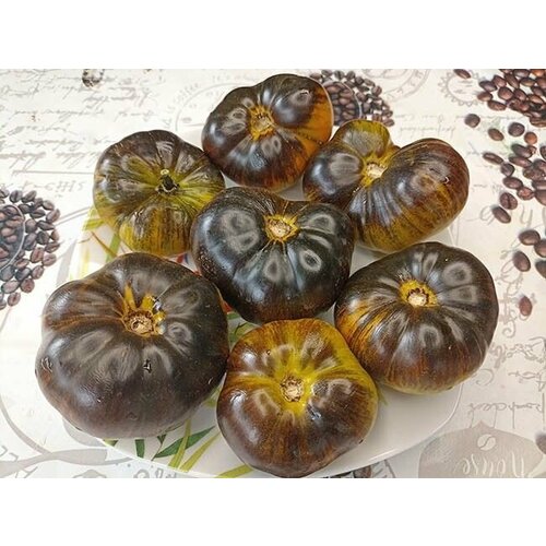 ������ ������ ������������� ������ ������ ���� ������� ����