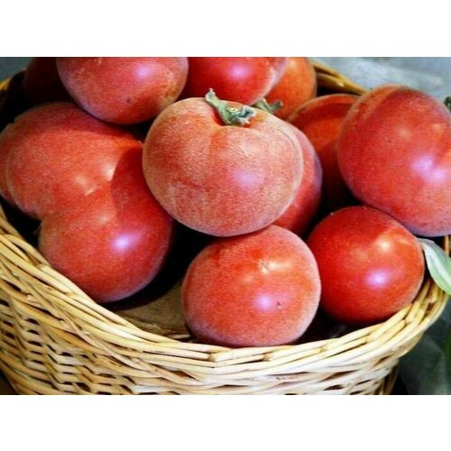 ������ ������ ������������� ������ ������ �������� ������� ����